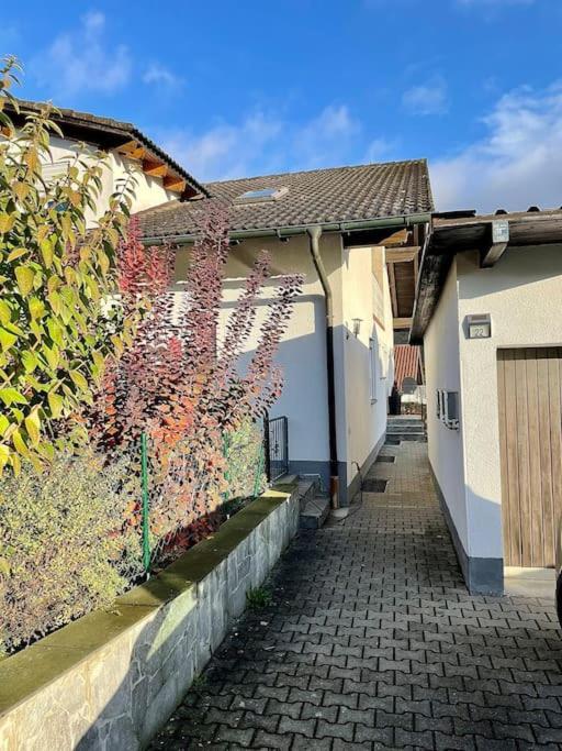Modernes Apartment Mit Top Ausstattung Und Kamin Im Oberpfaelzer Seenland Nittenau Exterior photo